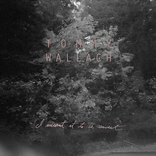 I Meant It to Be Sweet cover art