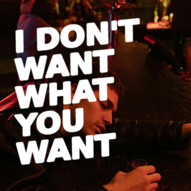 I Don't Want What You Want cover
