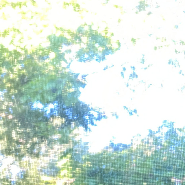 it's always summer somewhere cover art