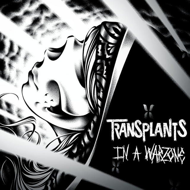 In A Warzone cover art