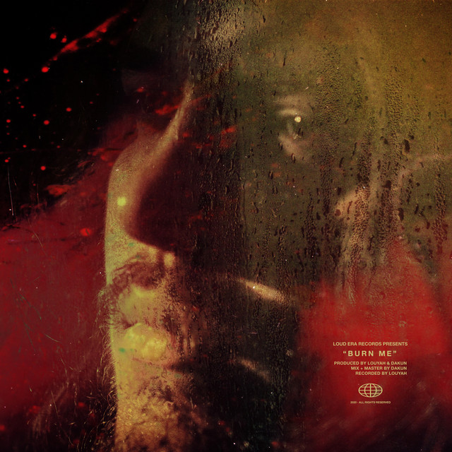 Burn Me cover art