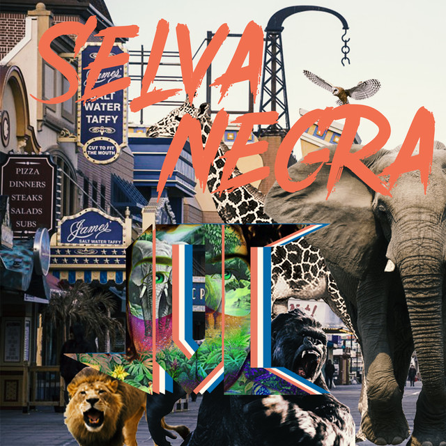 Обкладинка JOC Havana — Selva Negra
