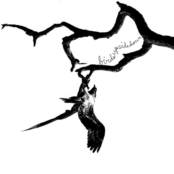 Birdsupsidedown cover art