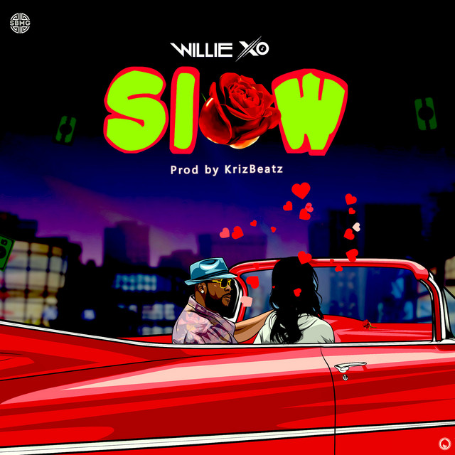 Slow cover