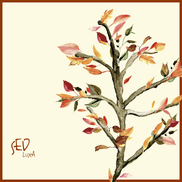 SED cover art
