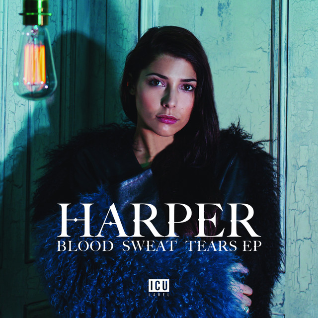 Blood Sweat Tears cover art