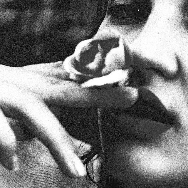 Обкладинка: I Will Never Give You Flowers — Routine