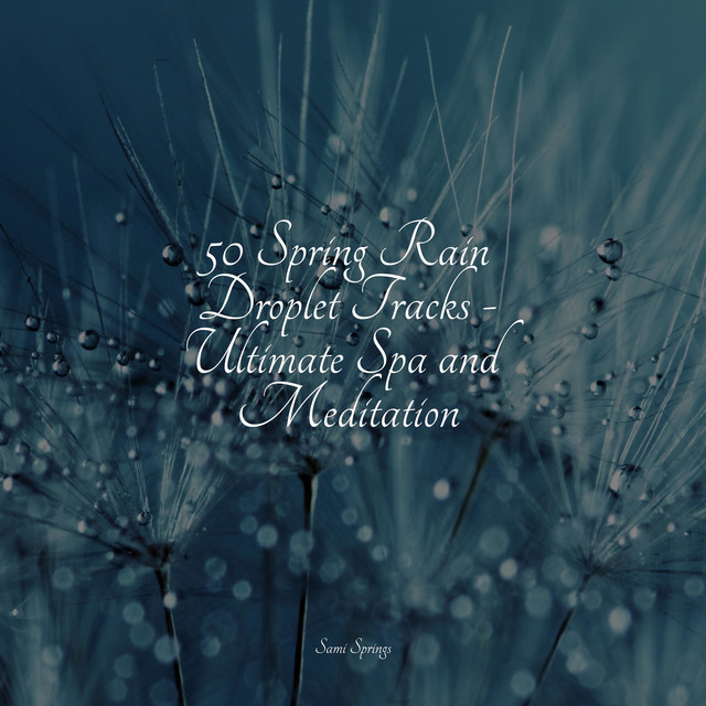 50 Sounds of Rain and Nature for Healing - Album by Serenity Spa Music ...