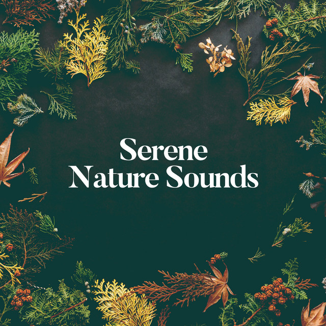 Serene Nature Sounds ! ! ! ! - Album by Nature Sounds | Spotify