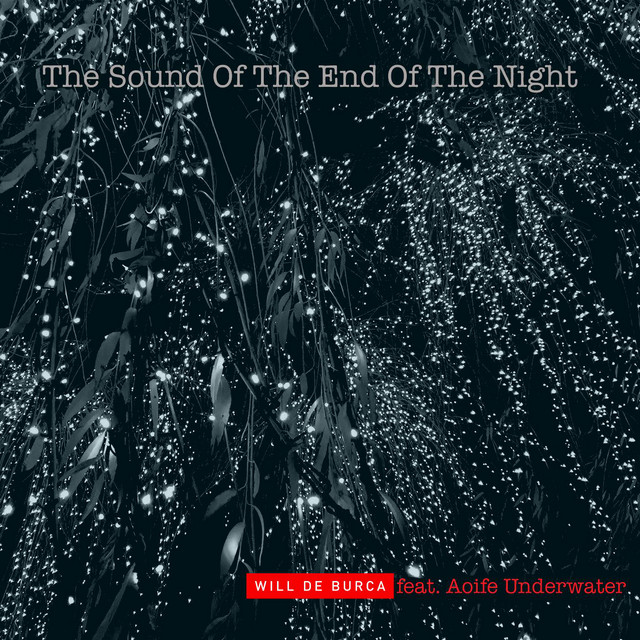 The Sound of the End of the Night (feat. Aoife Underwater) - Single by ...