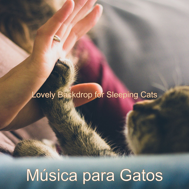 Lovely Backdrop for Sleeping Cats cover art