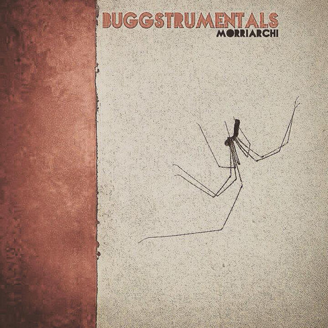 Buggstrumentals cover art