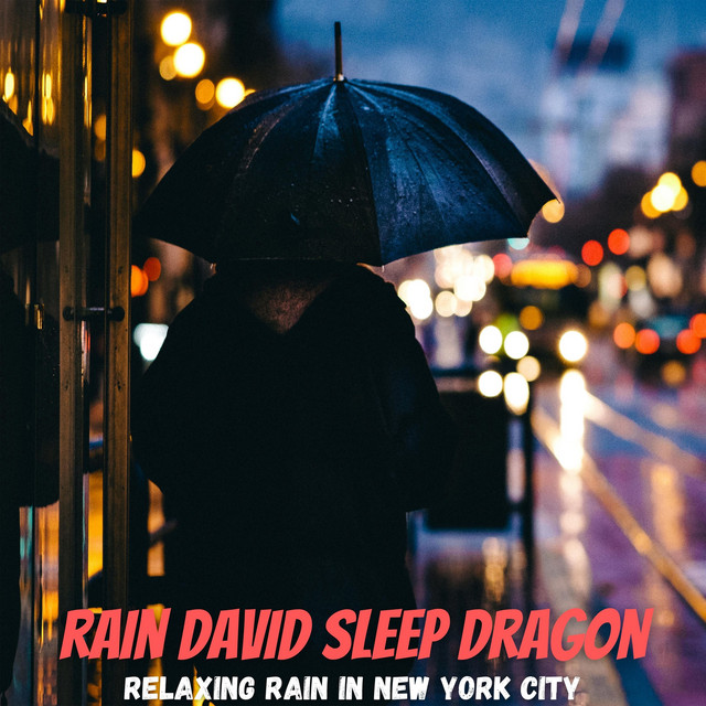 Relaxing Rain in New York City Album by Rain David Sleep Dragon Spotify