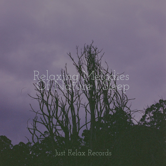 Relaxing Melodies Of Nature | Sleep - Album by Música relaxante | Spotify