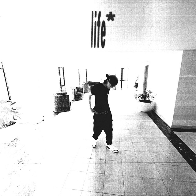 life cover art
