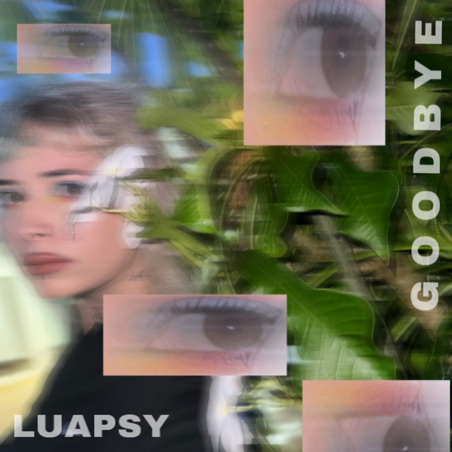 Goodbye cover art