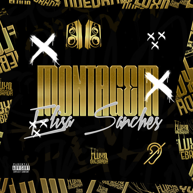 Montagem Elisa Sanches