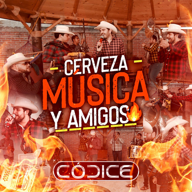 Cerveza, Música Y Amigos cover art