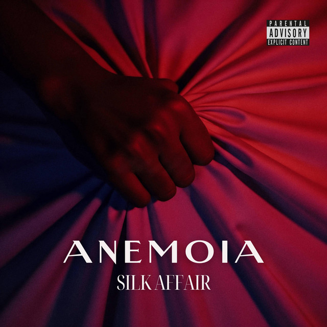 Silk Affair cover art