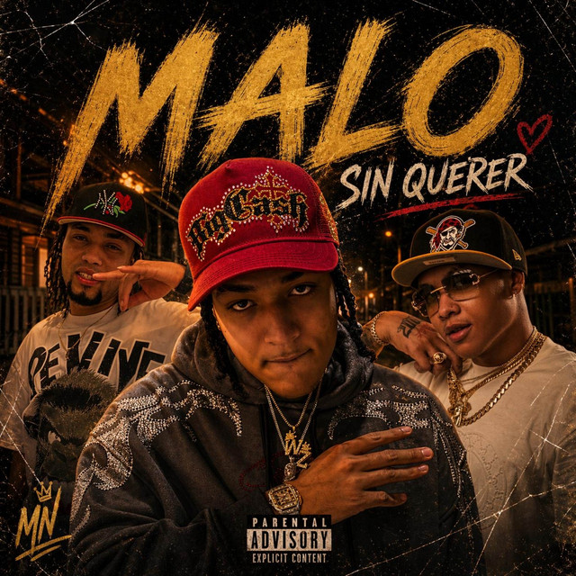 Malo Sin Querer