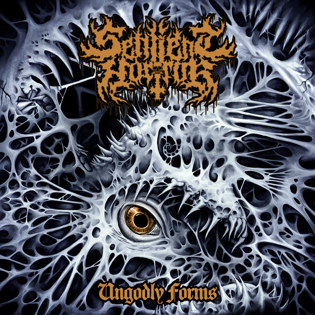 Ungodly Forms cover art