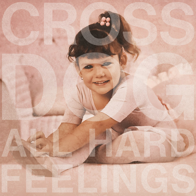 All Hard Feelings cover art