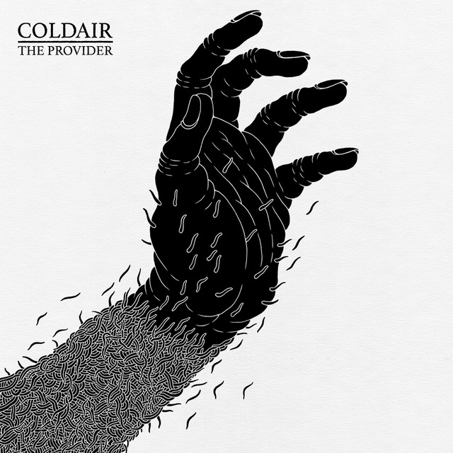 The Provider cover