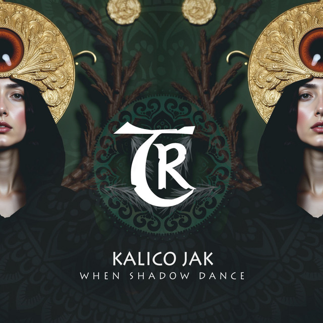 When Shadow Dance cover art
