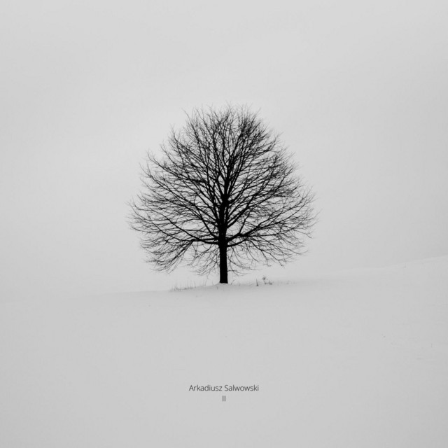 II cover art