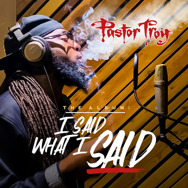 I Said What I Said - Album by Pastor Troy | Spotify