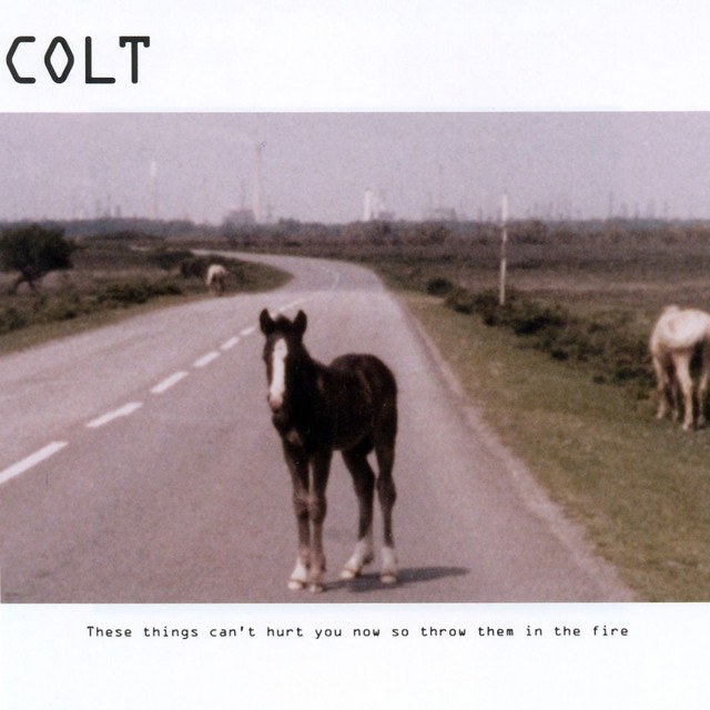 These Things Can't Hurt You Now So Throw Them In The Fire cover art