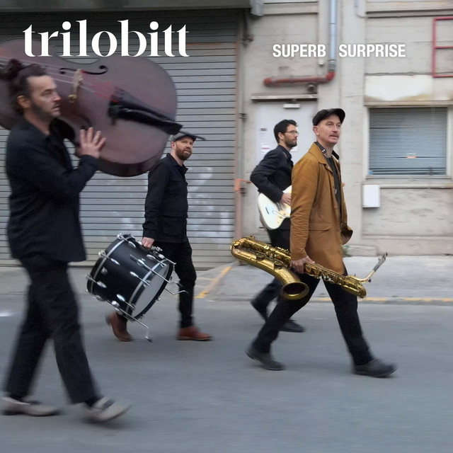 Superb Surprise cover art