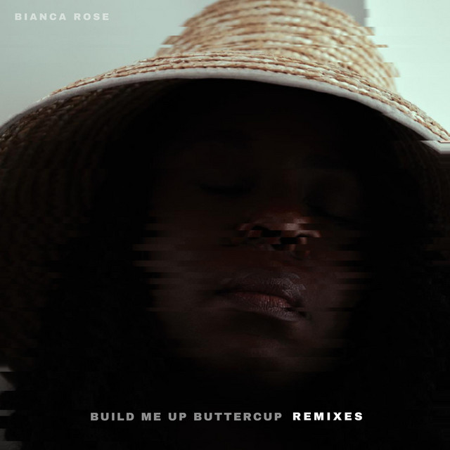 Build Me Up Buttercup (Remixes) cover art