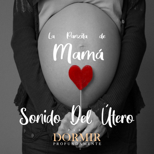 La Panzita De Mamá - Sonidos Del Útero cover art
