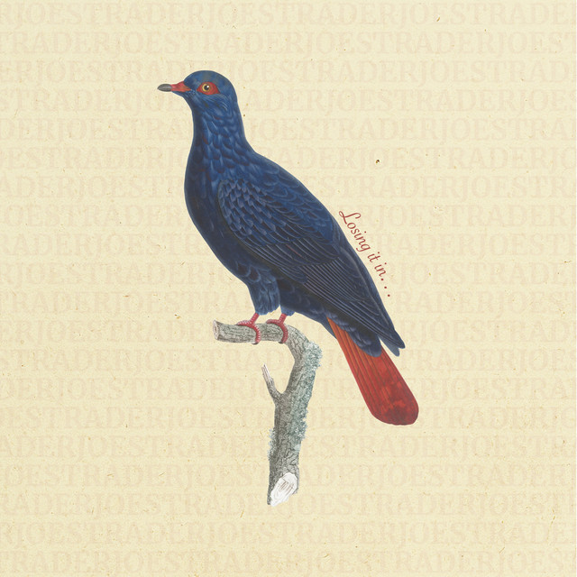 undefined album image