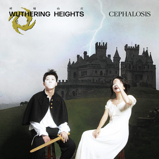 Wuthering Heights呼啸山庄 album image