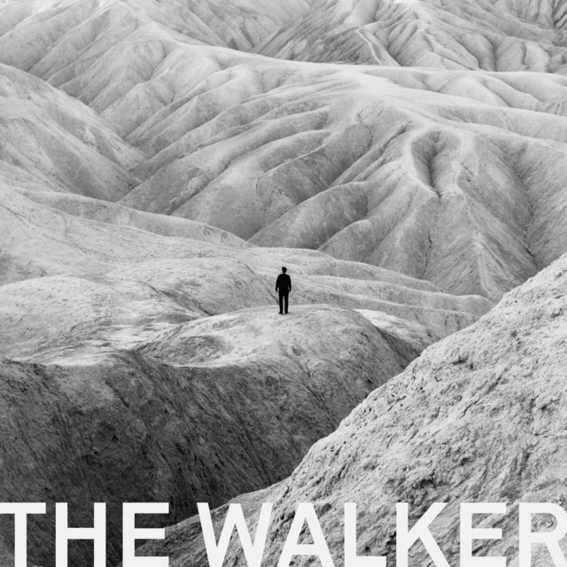 The Walker cover art