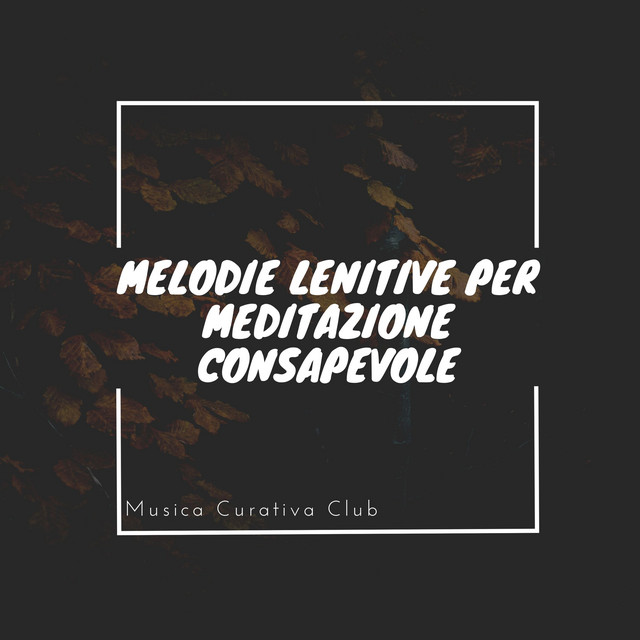 Melodie lenitive per meditazione consapevole cover art