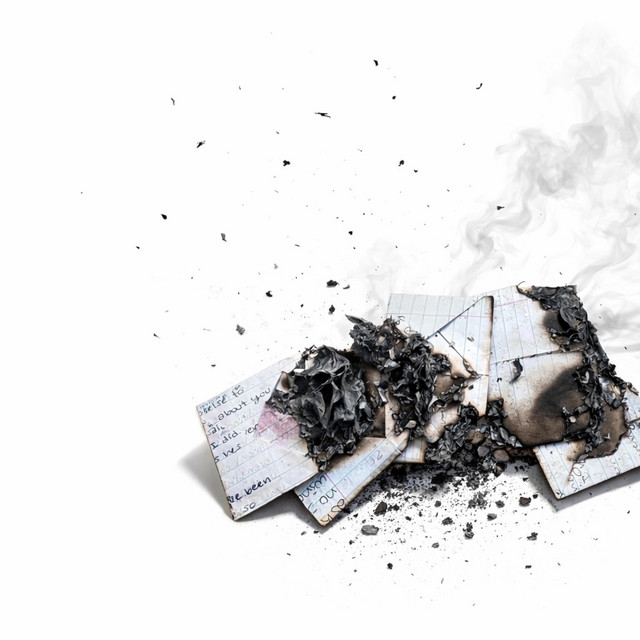 Burn. cover art