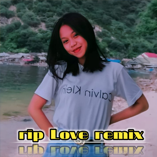 DJ RIP LOVE REMIX TIK TOK SLOW FULL BASS 2022 - Single by Wahid fvnky ...
