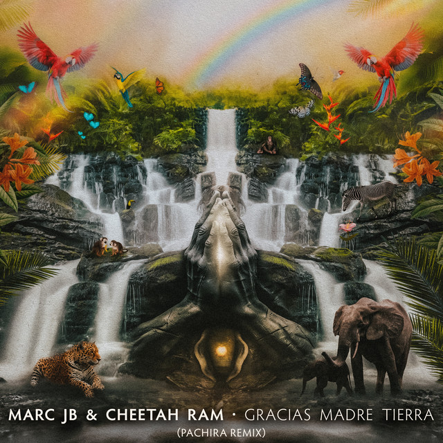 Gracias Madre Tierra - PACHIRA Remix