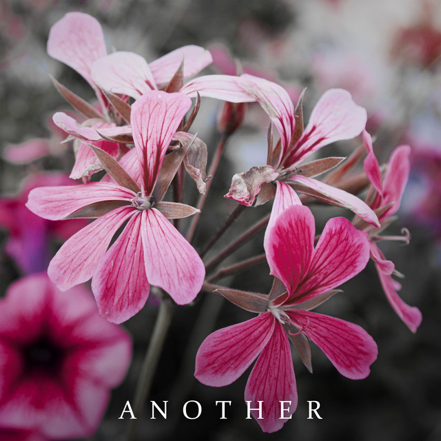 Another cover art