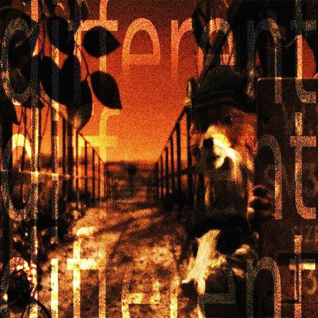 different cover art