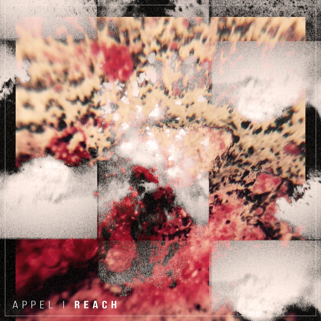 Reach cover art
