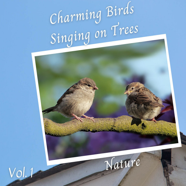 Nature: Charming Birds Singing on Trees Vol. 1 - Album by Forest FX ...