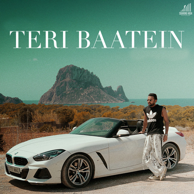 Teri Baatein