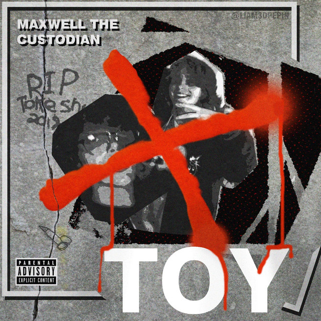 TOY cover art