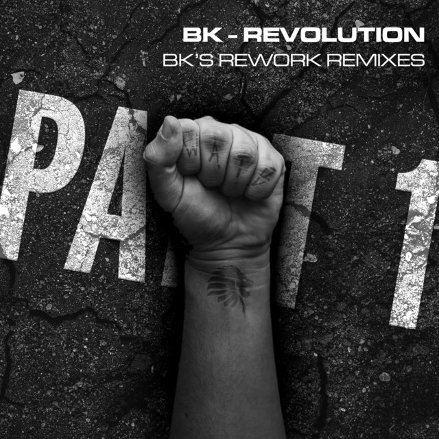 Revolution - BK's Rework - Reinier Zonneveld Remix