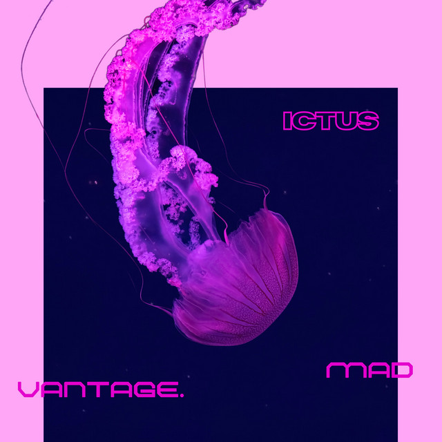 Mad Vantage — Matriarch album art