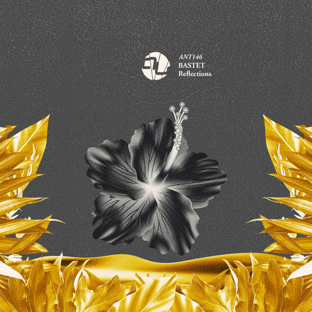 Reflections (Radio Edit) cover art